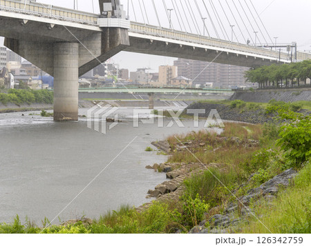 雨が降る猪名川沿いの景色 雨が降る猪名川沿いの景色 126342759