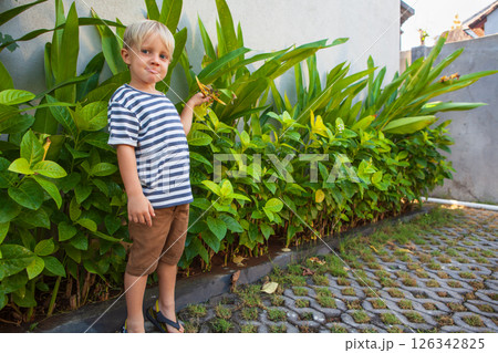 Young boy standing in a lush tropical garden, curiously observing plants. Capturing childhood exploration, happy family vacation Young boy standing in a lush tropical garden, curiously observing plants. Capturing childhood exploration, happy family vacation 126342825