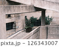 廃墟の壁に生える植物 126343007