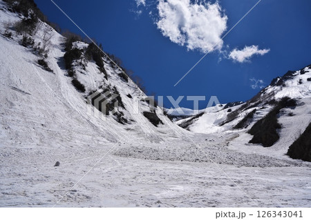 春の針ノ木岳雪渓のデブリ（雪崩の跡） 126343041