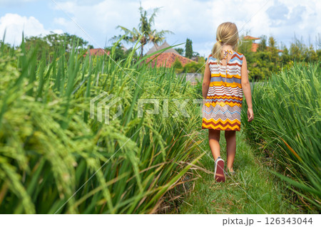 Nature walk in green rice terrace. Little kid trekking by path with beautiful view of Balinese traditional fields. Travel adventure with child, family vacation in Bali, Indonesia 126343044