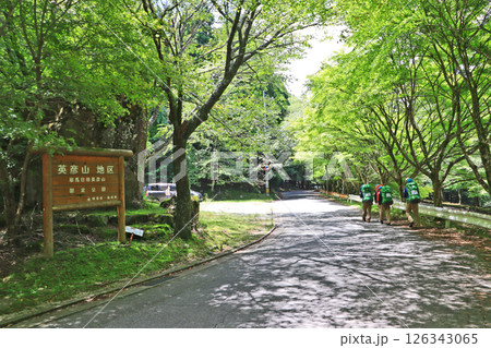 福岡県添田町の人気観光スポット英彦山高住神社前 福岡県添田町の人気観光スポット英彦山高住神社前 126343065