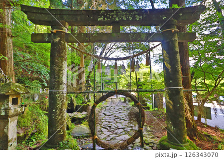 福岡県添田町の修験道英彦山高住神社輪くぐりの参道 126343070