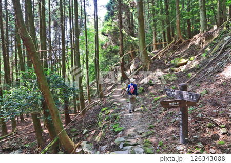 福岡県添田町にある修験道英彦山登山道を歩く人物 126343088