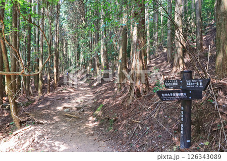 福岡県添田町にある修験道英彦山登山道 126343089