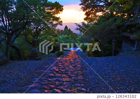 福岡県添田町の人気観光スポット英彦山神宮参道の光の道 126343102