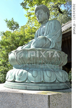 太田市散歩:浄土宗 大光院 境内の仏像 太田市金山町 太田市散歩:浄土宗 大光院 境内の仏像 太田市金山町 126343692