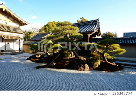 京都府 東寺 観智院・涅槃禄の庭「長者の庭」枯山水 京都市 南区 九条町 2022年2月 京都府 東寺 観智院・涅槃禄の庭「長者の庭」枯山水 京都市 南区 九条町 2022年2月 126343774