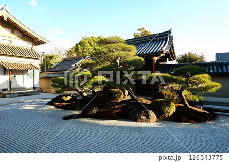 京都府 東寺 観智院・涅槃禄の庭「長者の庭」枯山水 京都市 南区 九条町 2022年2月 京都府 東寺 観智院・涅槃禄の庭「長者の庭」枯山水 京都市 南区 九条町 2022年2月 126343775
