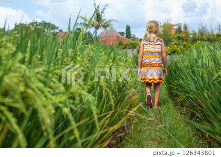 Nature walk in green rice terrace. Little kid trekking by path with beautiful view of Balinese traditional fields. Travel adventure with child, family vacation in Bali, Indonesia 126343801