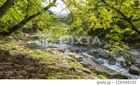新緑キラキラ　奥津渓 126344105