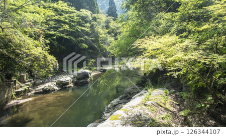 新緑キラキラ　奥津渓 126344107