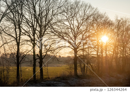 A beautiful sunrise emerges through bare trees in the morning light, bringing calmness 126344264
