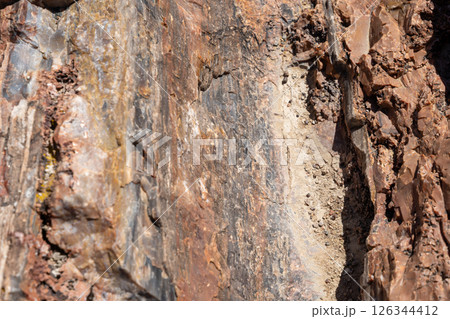 Petrified wood logs on desert ground in Petrified Forest National Park Arizona Petrified wood logs on desert ground in Petrified Forest National Park Arizona 126344412