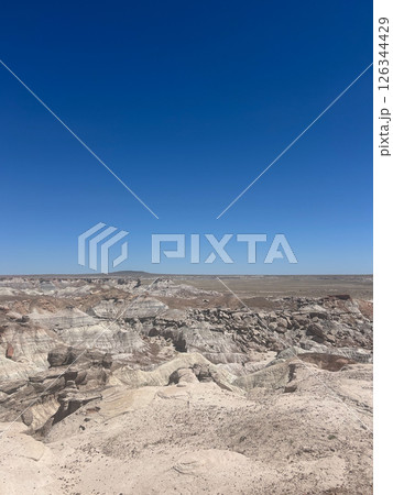Expansive Desert Landscape Along Blue Forest Hike in Petrified Forest NP 126344429