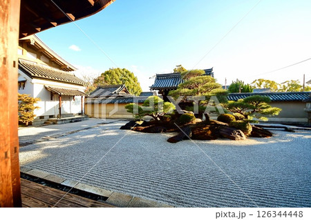 京都府　東寺 観智院・涅槃禄の庭「長者の庭」枯山水 京都市 南区 九条町　2022年2月 126344448