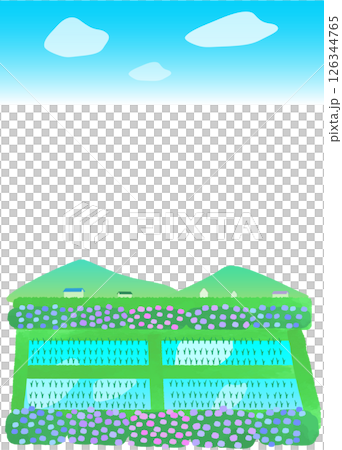 Landscape illustration with rice fields and hydrangeas 126344765