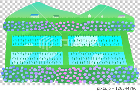 Landscape illustration with rice fields and hydrangeas Landscape illustration with rice fields and hydrangeas 126344766