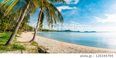 tropical beach with coconut palm trees 126344794