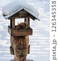 Wooden bird feeder in the snow in the park in winter. DIY wooden crafts. 126345358