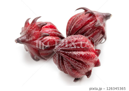 ハイビスカス・ティー用のローゼル 126345365