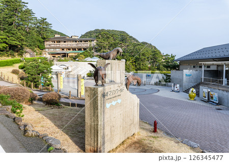 兵庫県豊岡市　城崎マリンワールド 126345477
