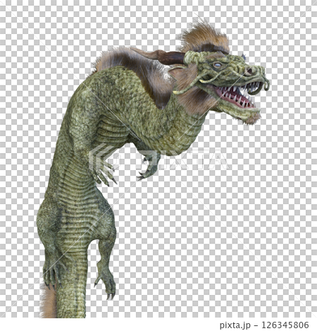 Dragon Dragon 126345806