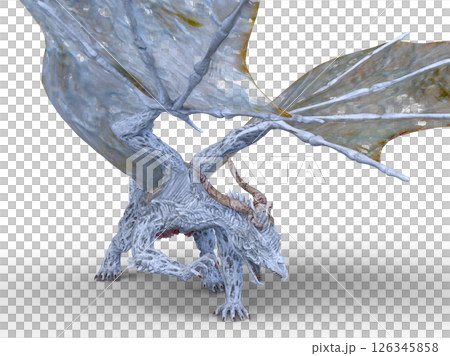 ドラゴン ドラゴン 126345858