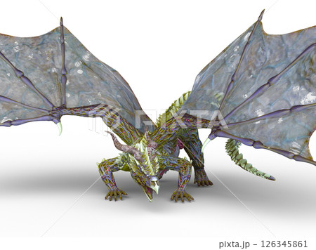 ドラゴン 126345861