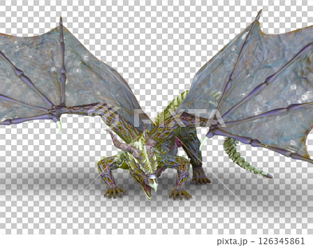 ドラゴン 126345861