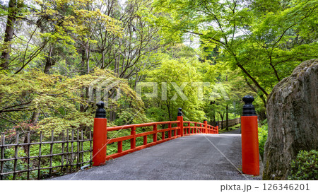 新緑に包まれる赤い橋 126346201