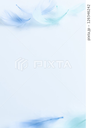 喪中はがき 羽 背景素材 喪中はがき 羽 背景素材 126346242