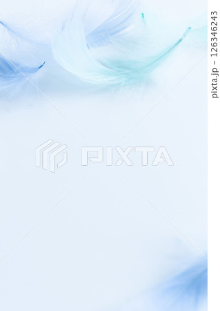 喪中はがき 羽 背景素材 喪中はがき 羽 背景素材 126346243