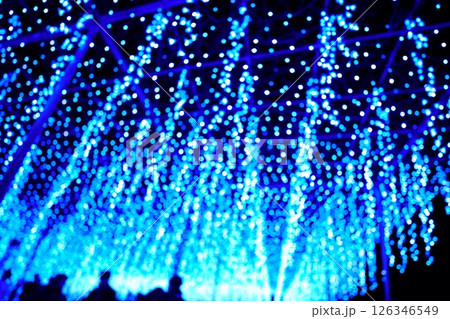 あしかがフラワーパーク　クリスマスイルミネーション 126346549