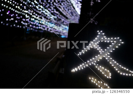 あしかがフラワーパーク　クリスマスイルミネーション 126346550