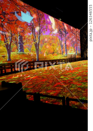 あしかがフラワーパーク　クリスマスイルミネーション 126346555