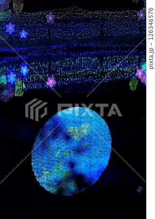 あしかがフラワーパーク　クリスマスイルミネーション 126346576