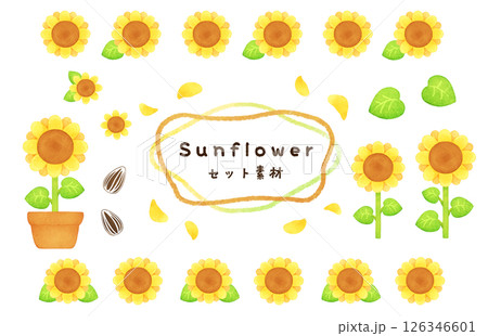 ひまわりの花のセット素材 126346601