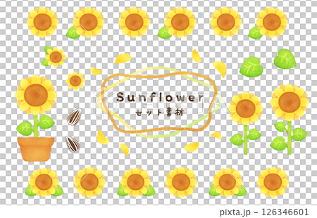 ひまわりの花のセット素材 126346601