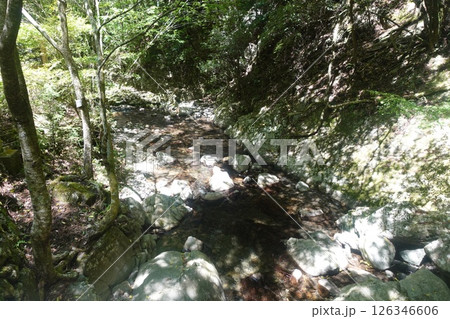 くらがり渓谷 くらがり渓谷 126346606