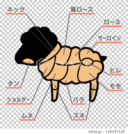 羊肉部位插圖及文字說明 126347126