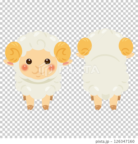 Sheep front and back illustration set Sheep front and back illustration set 126347160