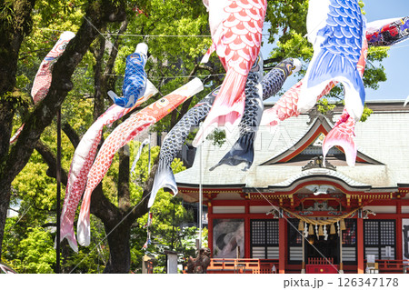 青空に泳ぐこいのぼりと新緑の木々 青空に泳ぐこいのぼりと新緑の木々 126347178