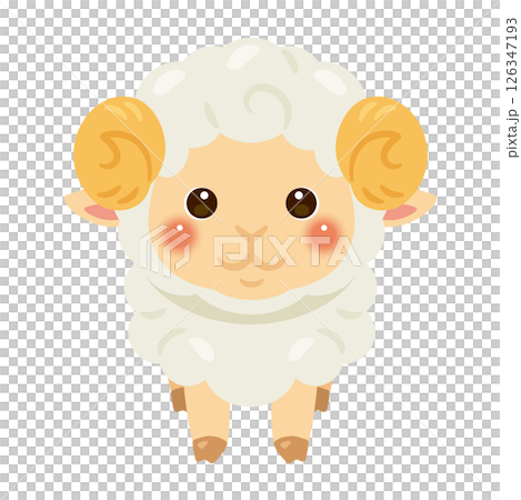 Illustration of a sheep seen from the front Illustration of a sheep seen from the front 126347193