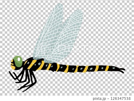 Simple dragonfly vector illustration 126347538