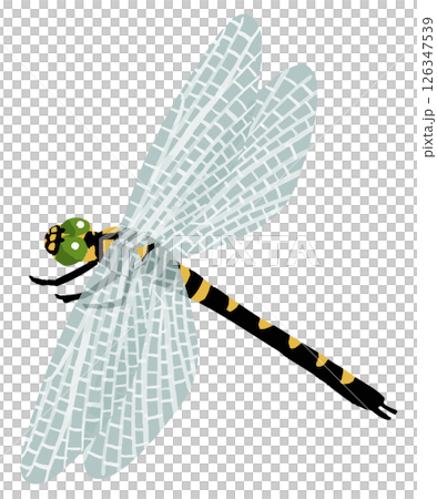 Simple dragonfly vector illustration 126347539