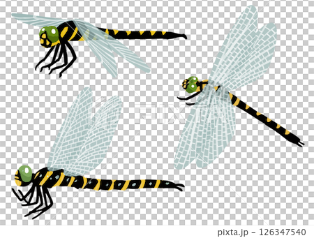 Simple dragonfly vector illustration 126347540
