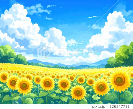 夏の空と入道雲とひまわり畑 126347751