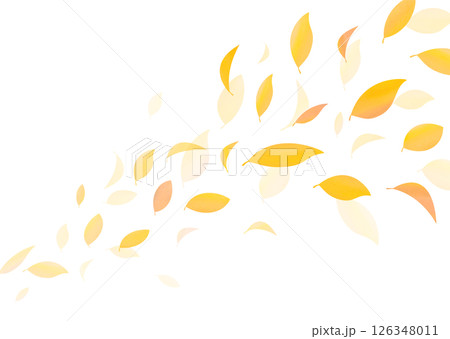 紅葉した葉が舞う背景素材 紅葉した葉が舞う背景素材 126348011