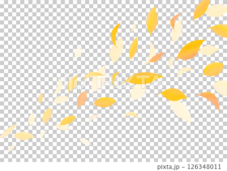 紅葉した葉が舞う背景素材 紅葉した葉が舞う背景素材 126348011